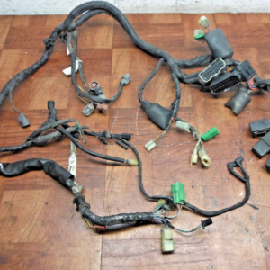 Honda VTX1800R 2003 – Arnés Principal del Motor / Chicote de Cables del Motor