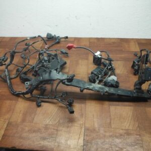 2015 13-16 Triumph Street Triple ARNÉS PRINCIPAL DE CABLES LOOM probado video ⭐✔