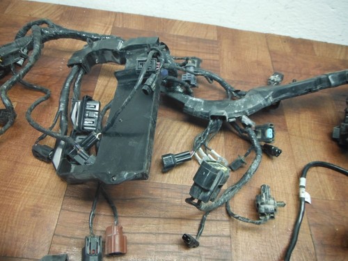 2015 13-16 Triumph Street Triple ARNÉS PRINCIPAL DE CABLES LOOM probado video ⭐✔ - Imagen 12