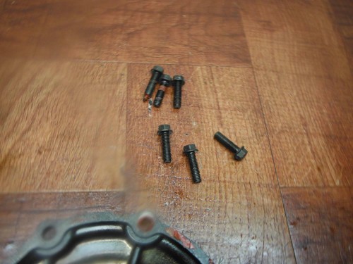 kawasaki ninja zx10 zx11 zzr1200 TAPA DE ESTATOR MAGNETO ALTERNADOR GENERADOR - Imagen 5